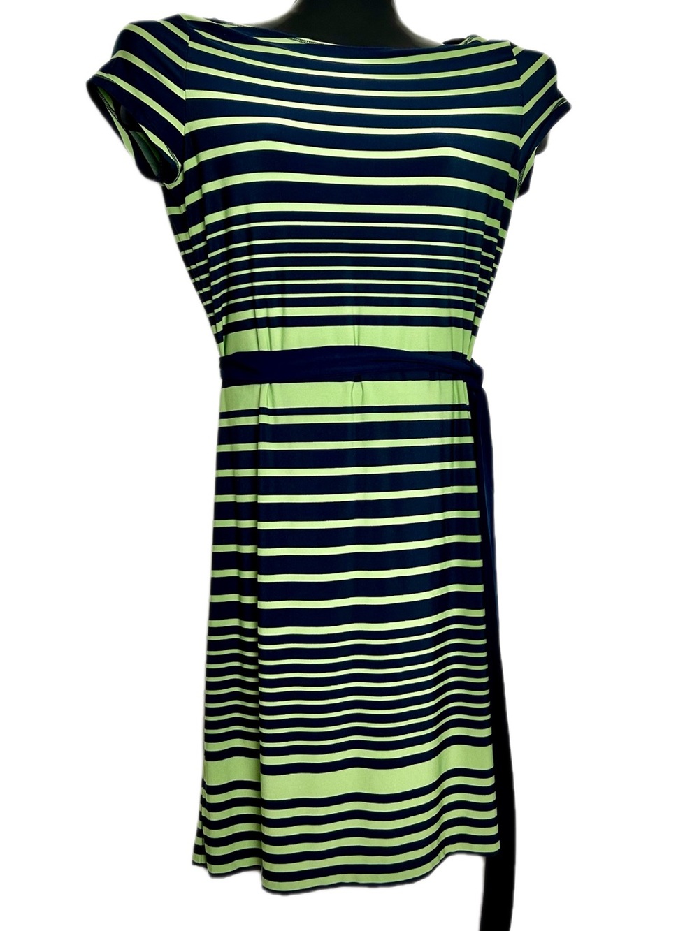 LOFT-Navy and Green Striped Dress